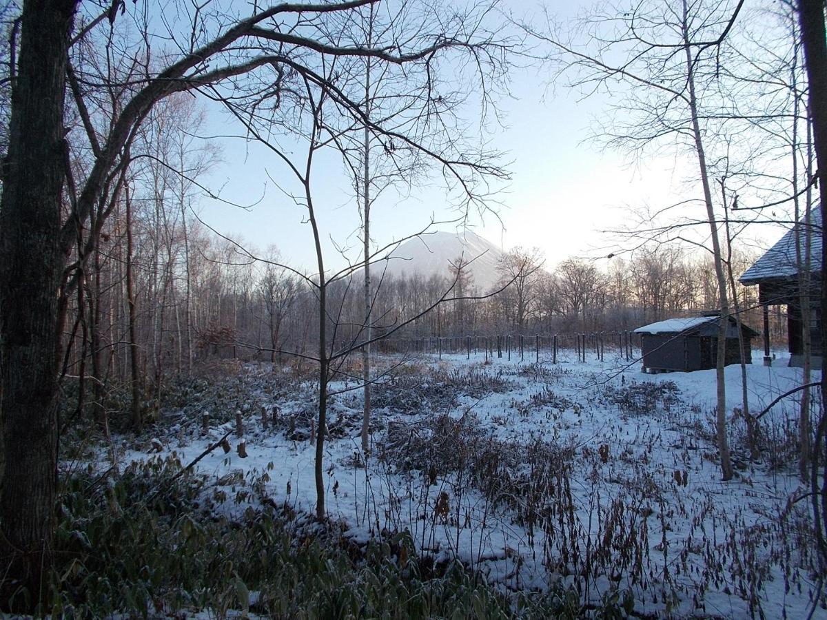 Niseko Shirokuma Cottage Exteriör bild